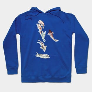 Koi fish Hoodie